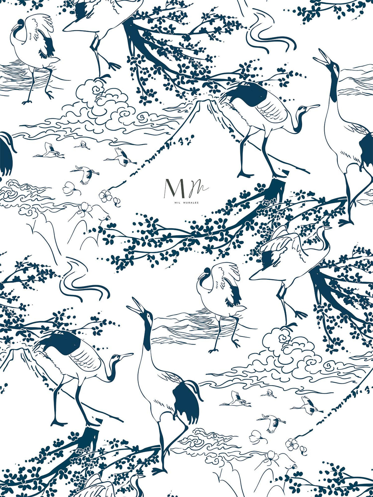 Aves y volcán
