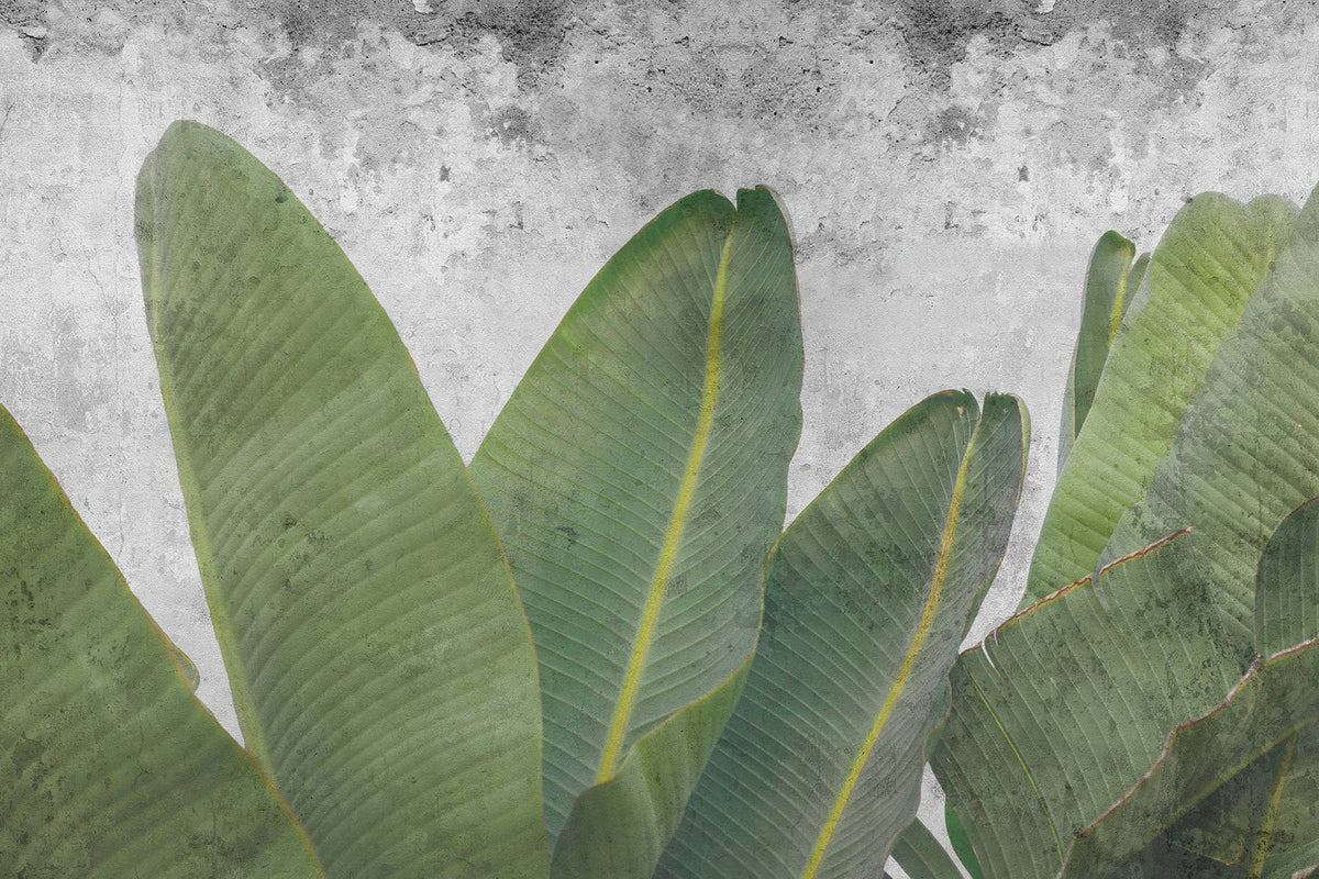Concrete Leaf