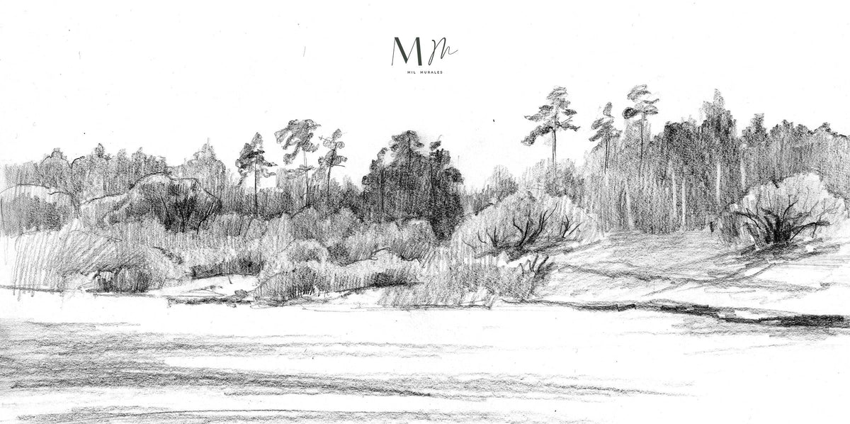 Croquis del bosque