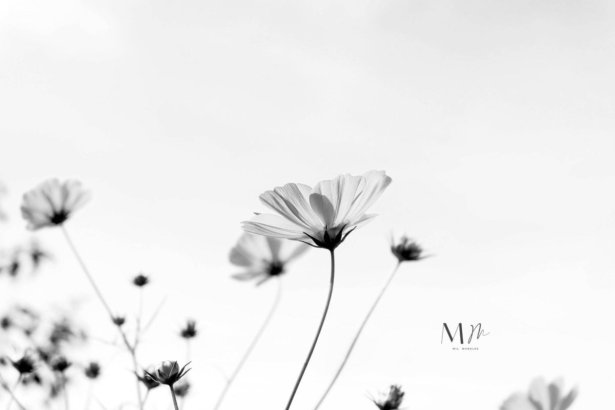 Flores en capítulo II