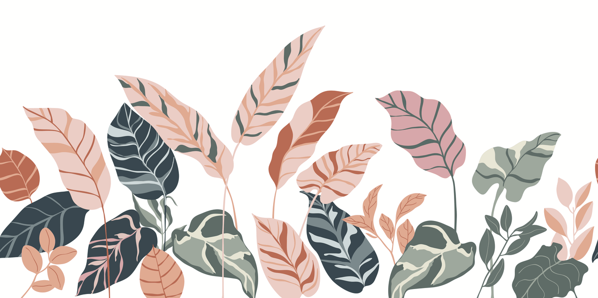 Gomero