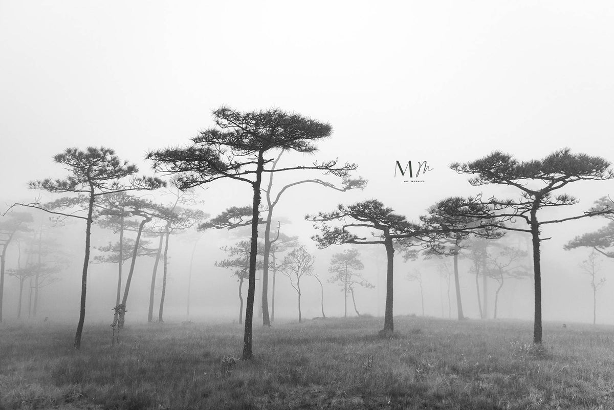 Niebla