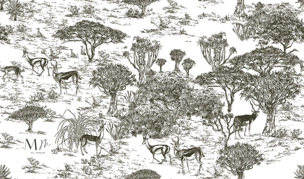 Safari BN