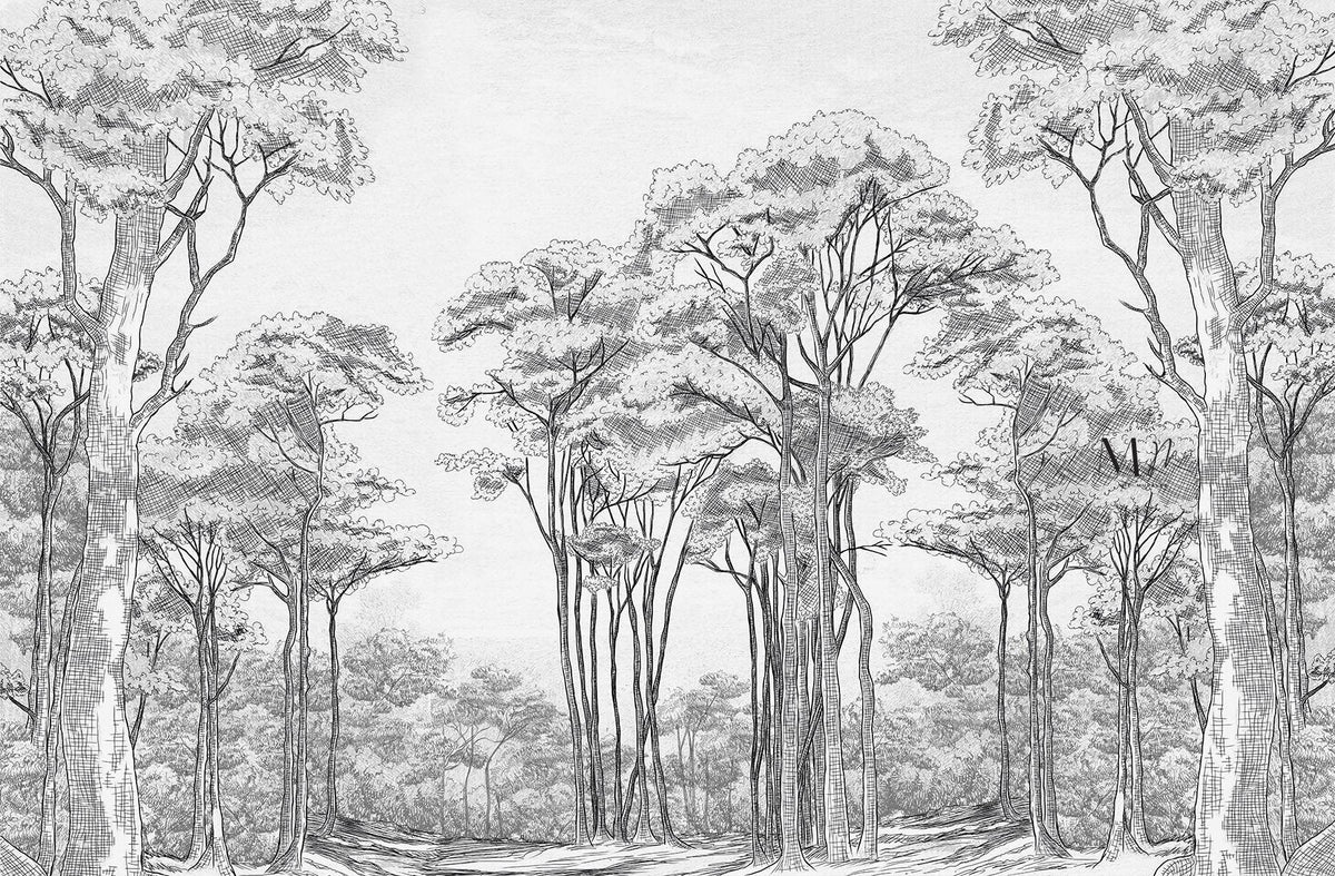 Árboles a carboncillo