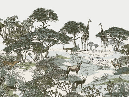 Safari