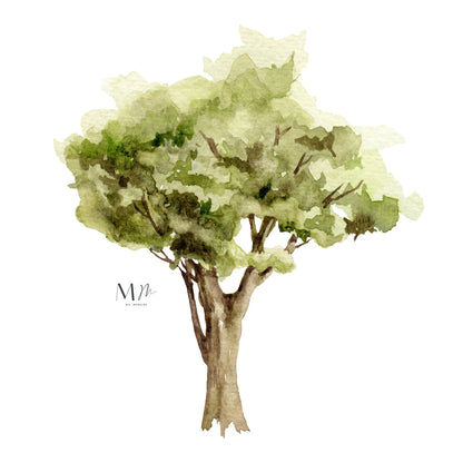 Árbol Pequeño