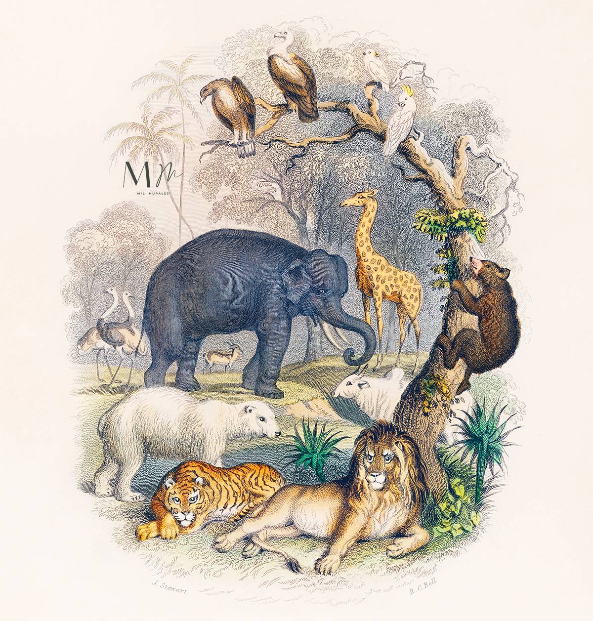 Animales en escena