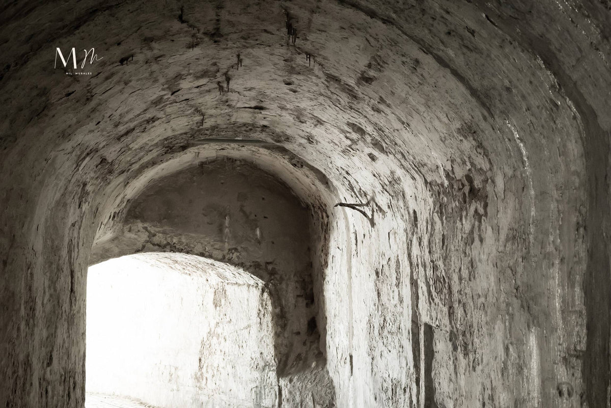 Arco BN