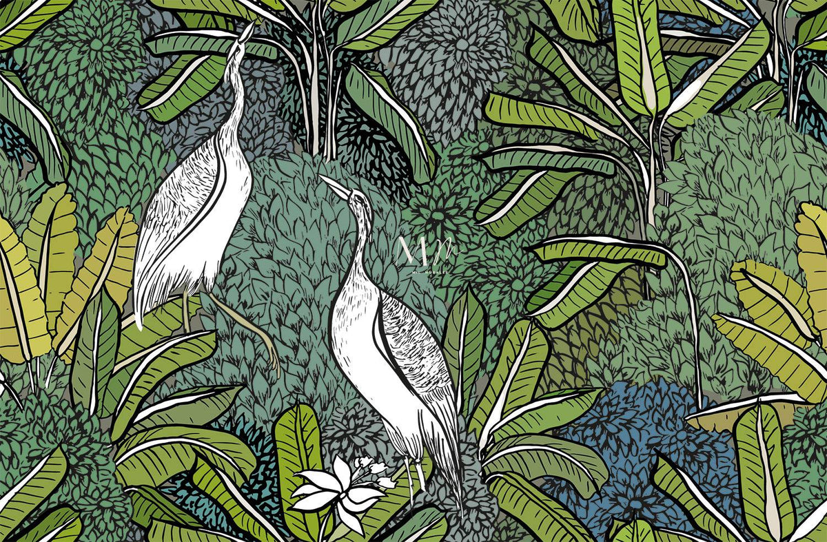 Aves Blancas