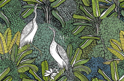 Aves Blancas