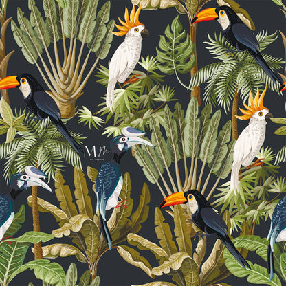 Aves Tropicales