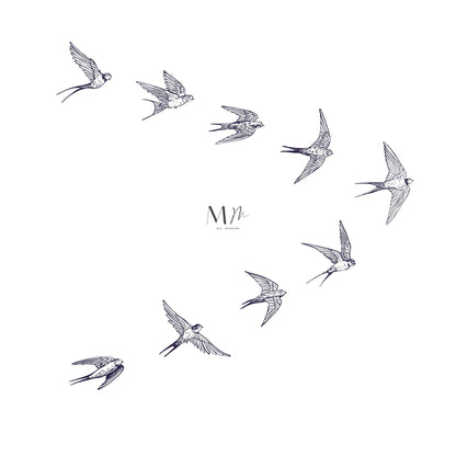 Aves en V