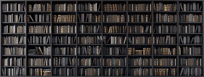 Biblioteca II