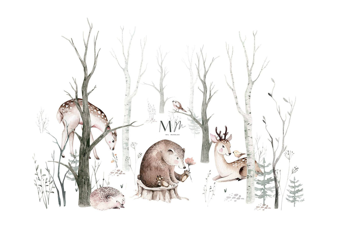 Bosque de niebla