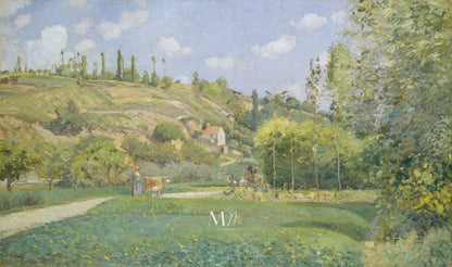 Campo