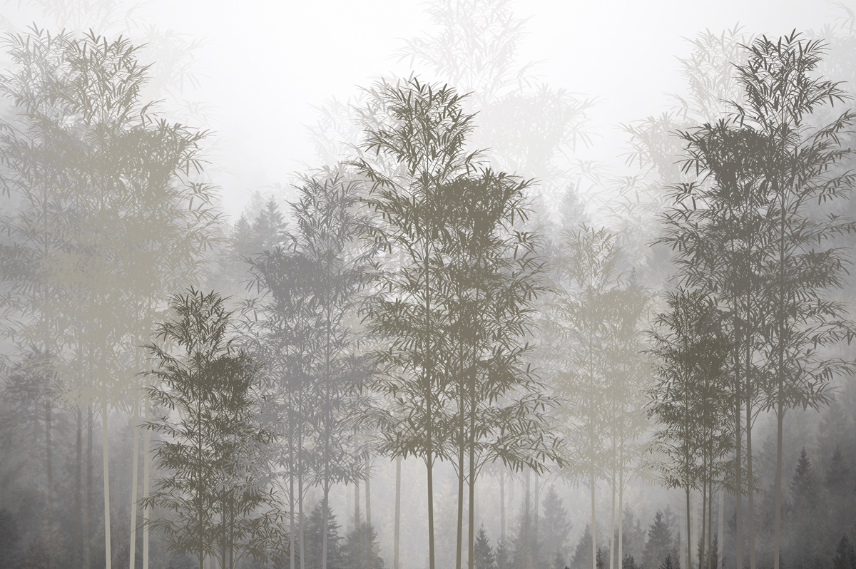 El bosque