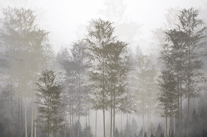 El bosque