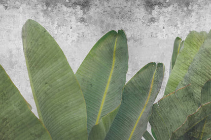 Concrete Leaf