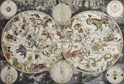Constelaciones y signos