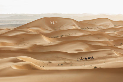Desierto II