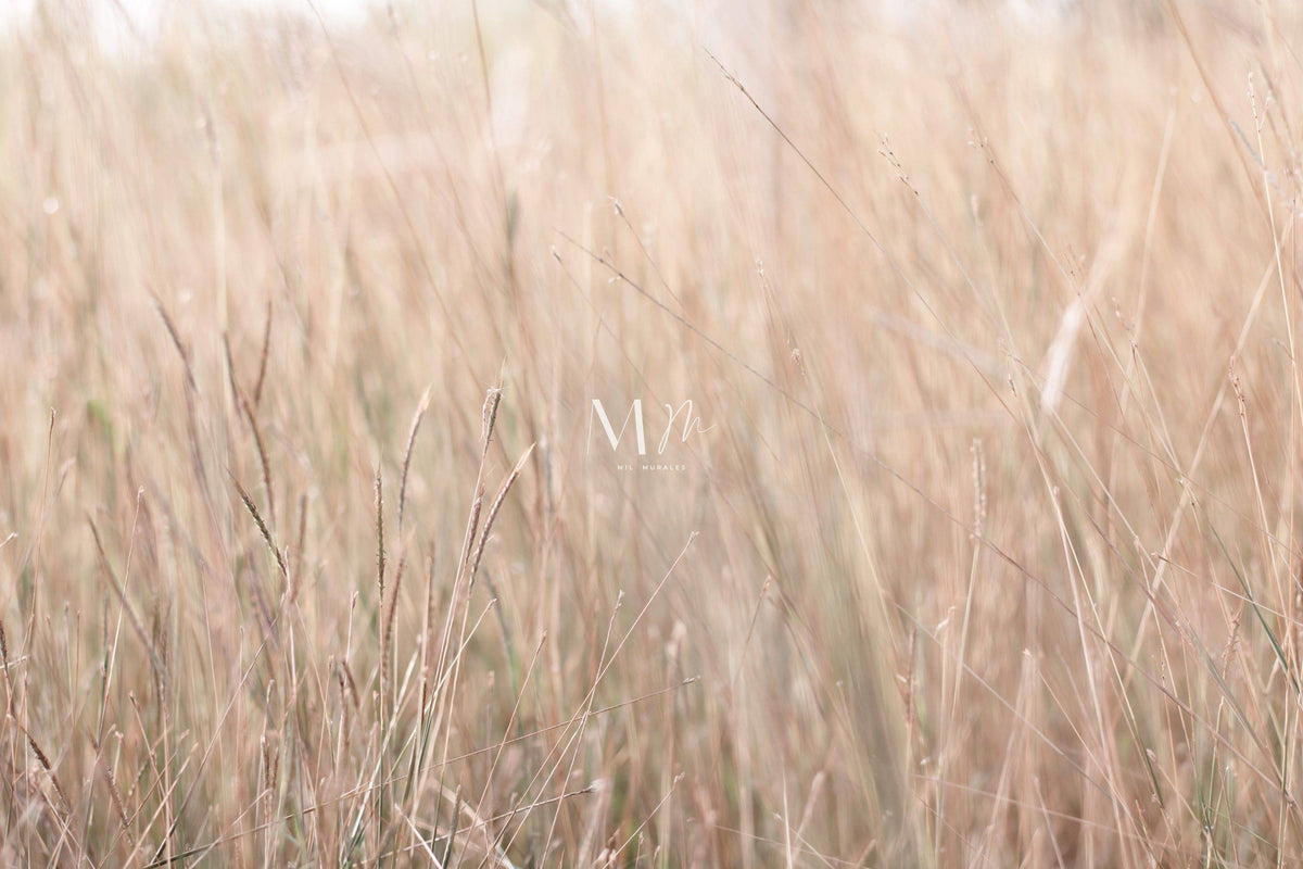 Dry Grass