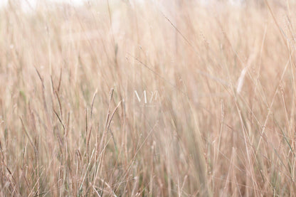 Dry Grass