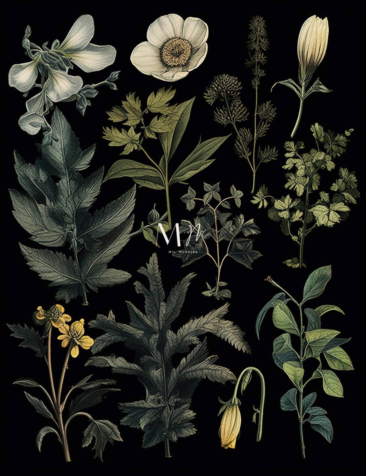 Flora Botánica