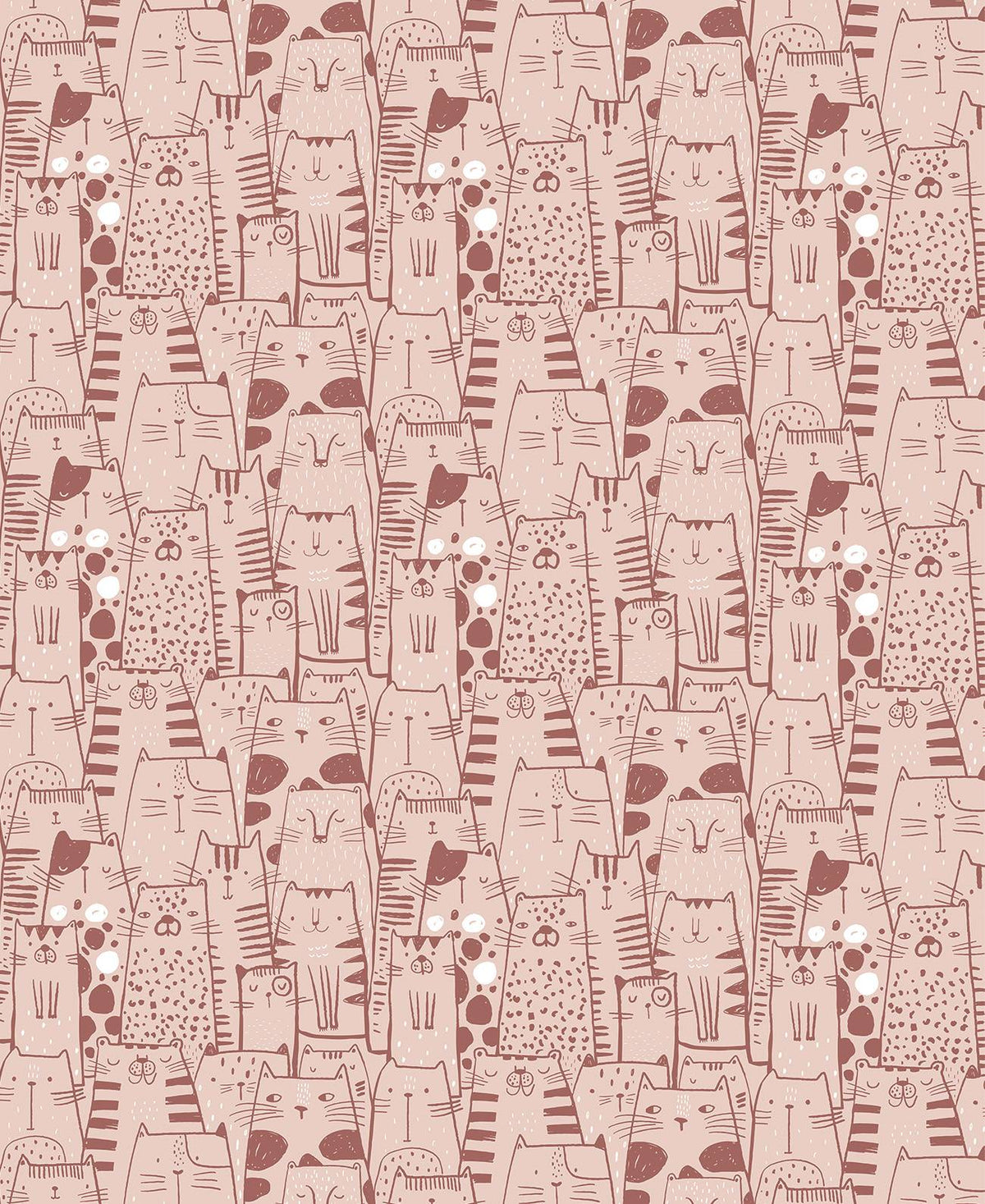 Gatitos Rosa