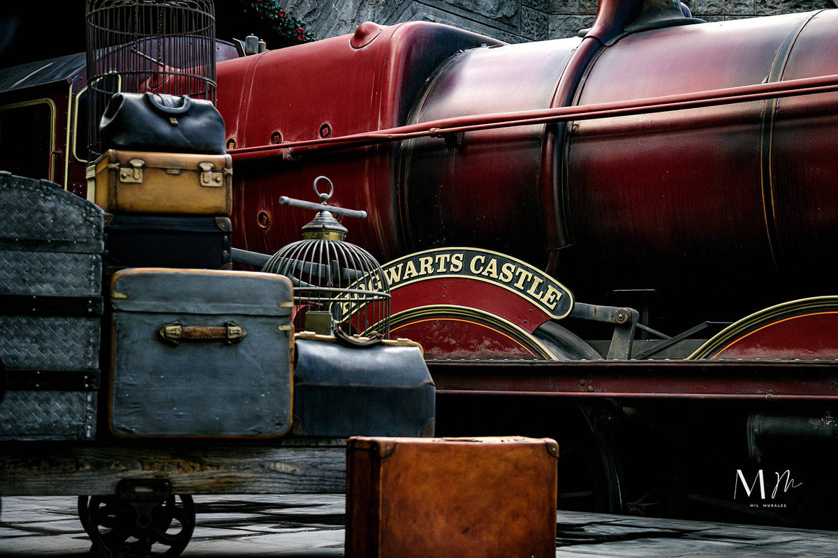 Hogwarts Castle