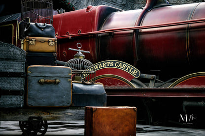 Hogwarts Castle