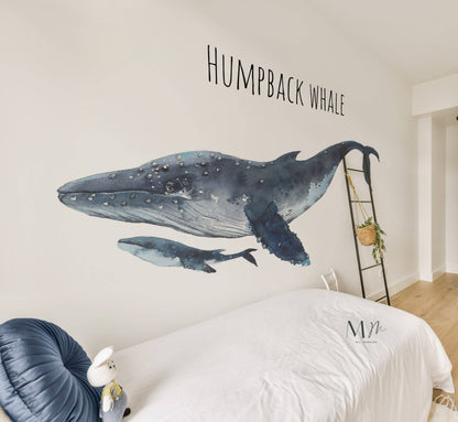 Humpback Whale