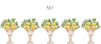 Limones en maceta