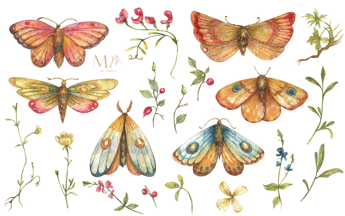 Mariposas Distintas