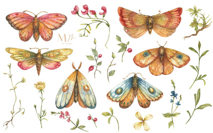 Mariposas Distintas