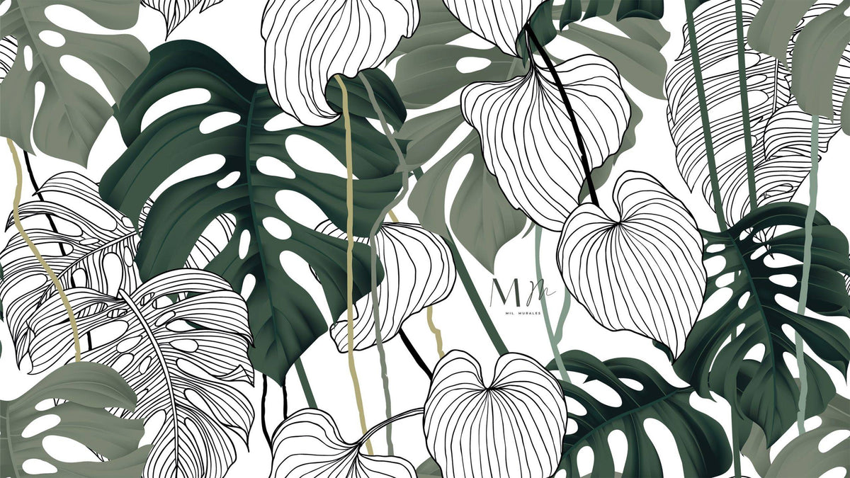 Monstera II