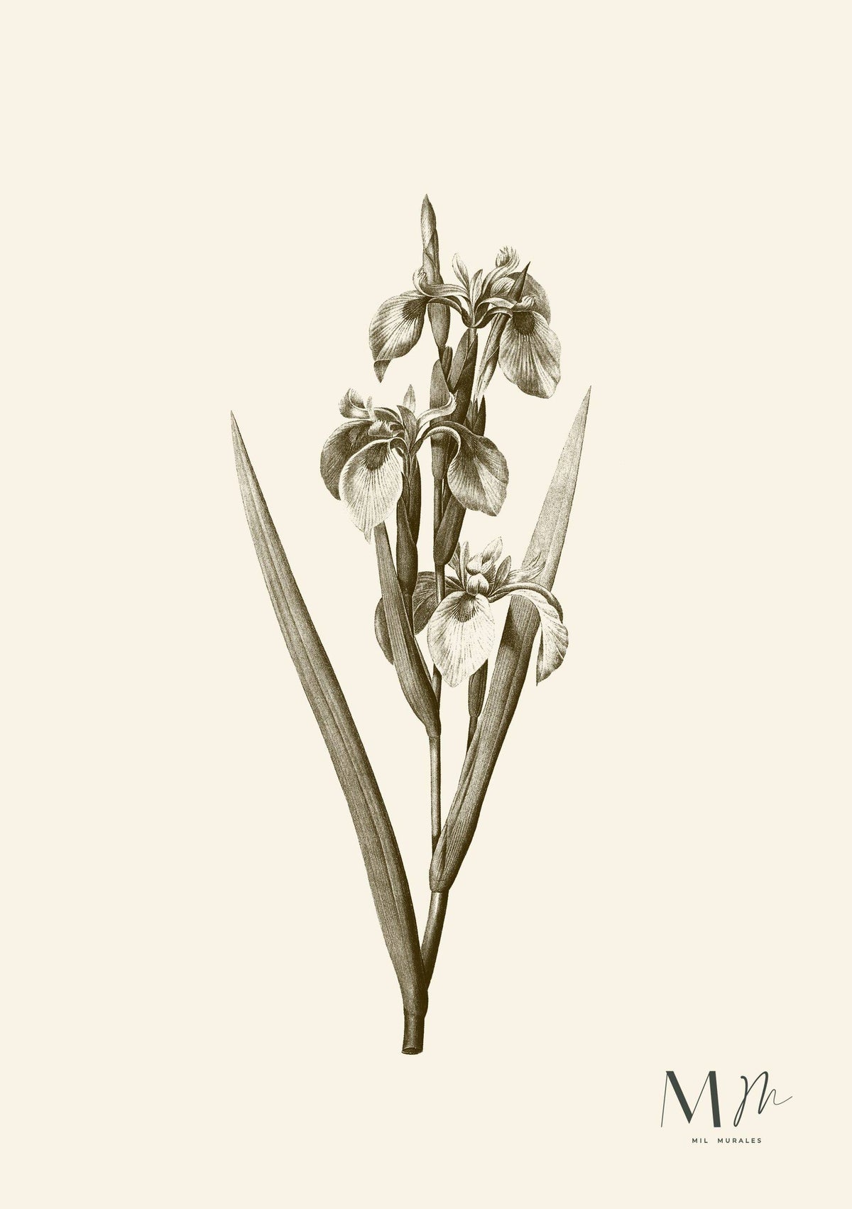 Orquídea en tono