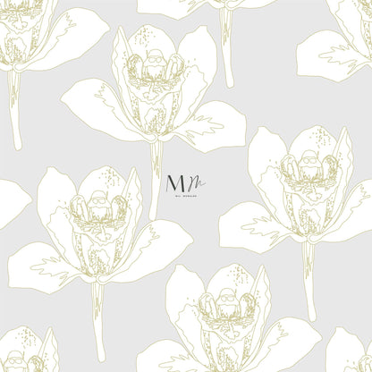 Orquideas
