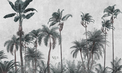 Palmas Frías II