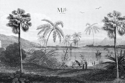 Palmas al rededor