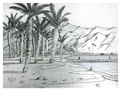 Palmas en la orilla
