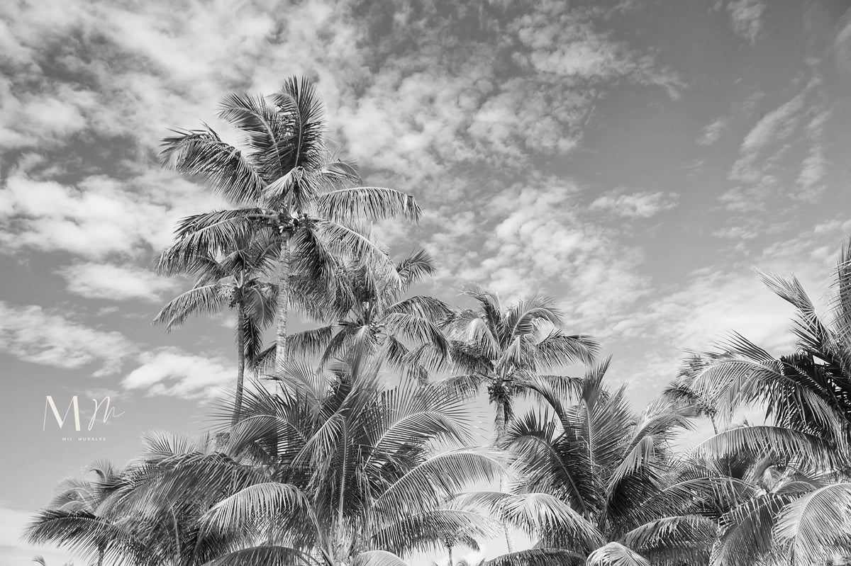 Palmeras en el cielo