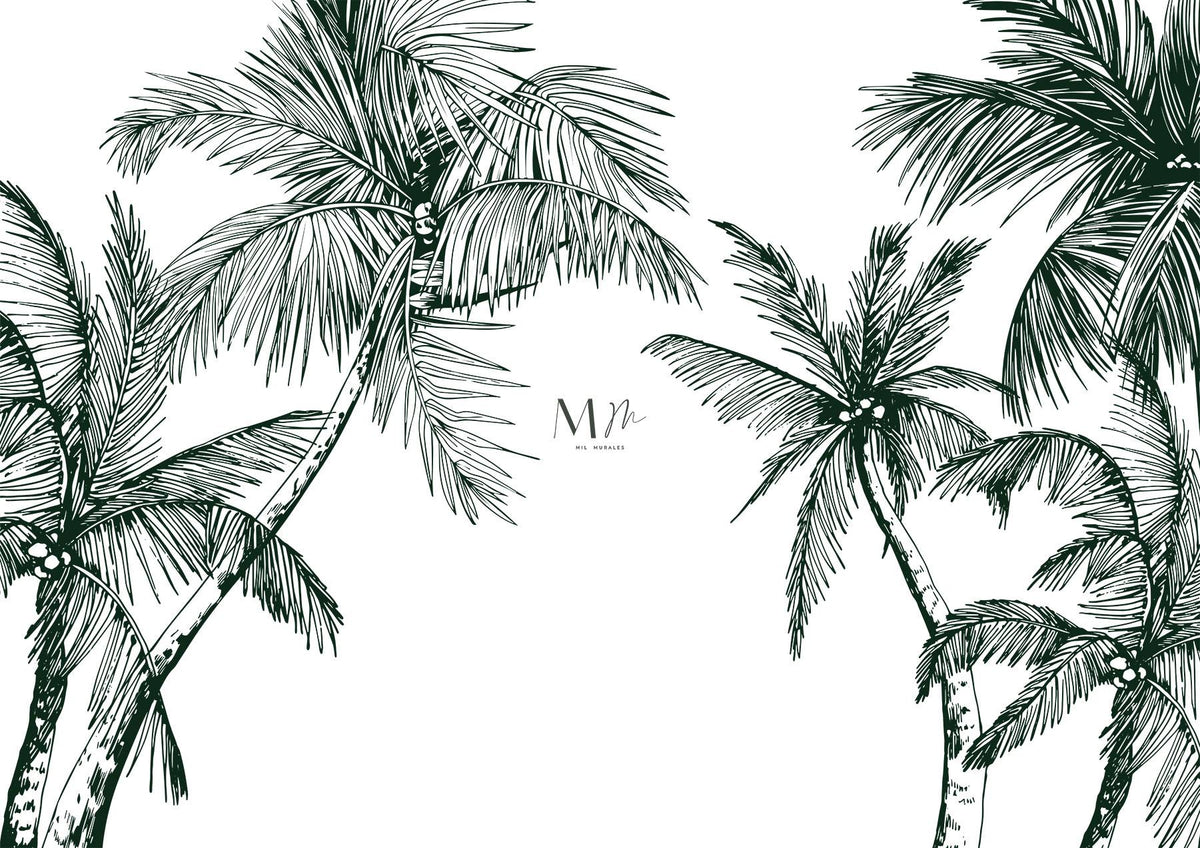Palmeras y cocos