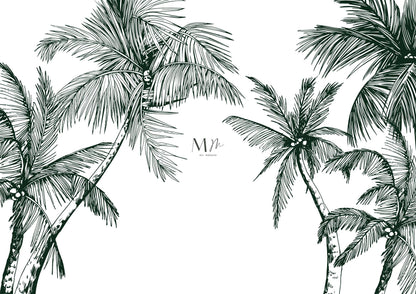 Palmeras y cocos