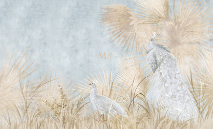 Pavos Albinos