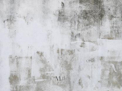Piel de Concreto
