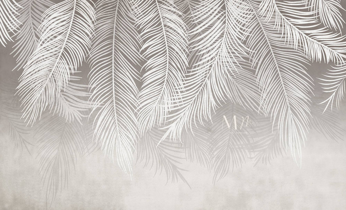 Pigmea gris
