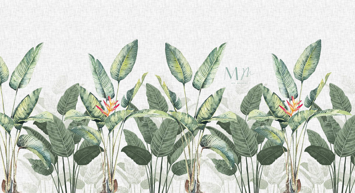 Plantas