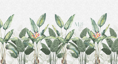 Plantas