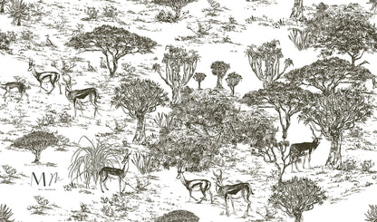 Safari BN