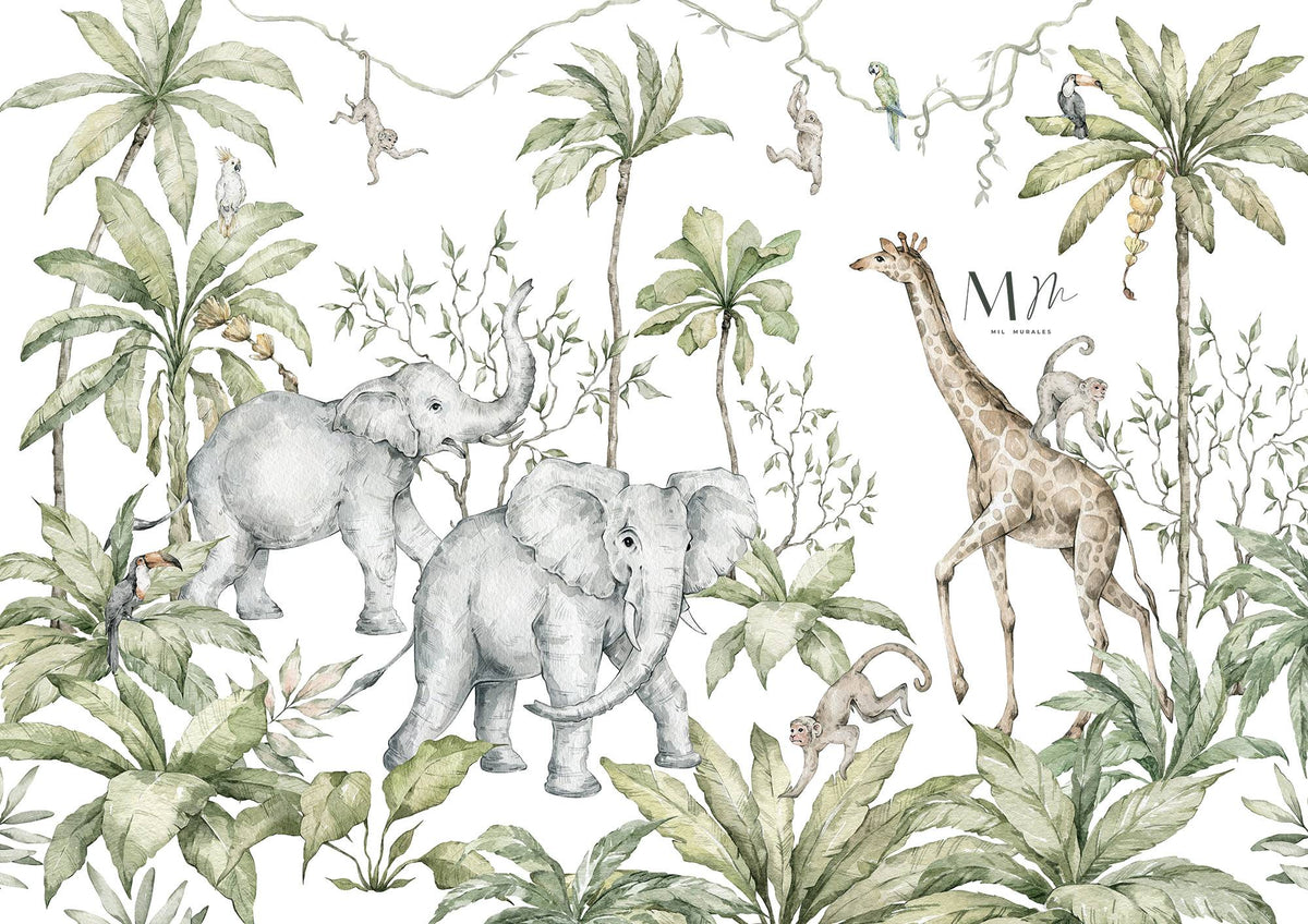 Safari Extenso